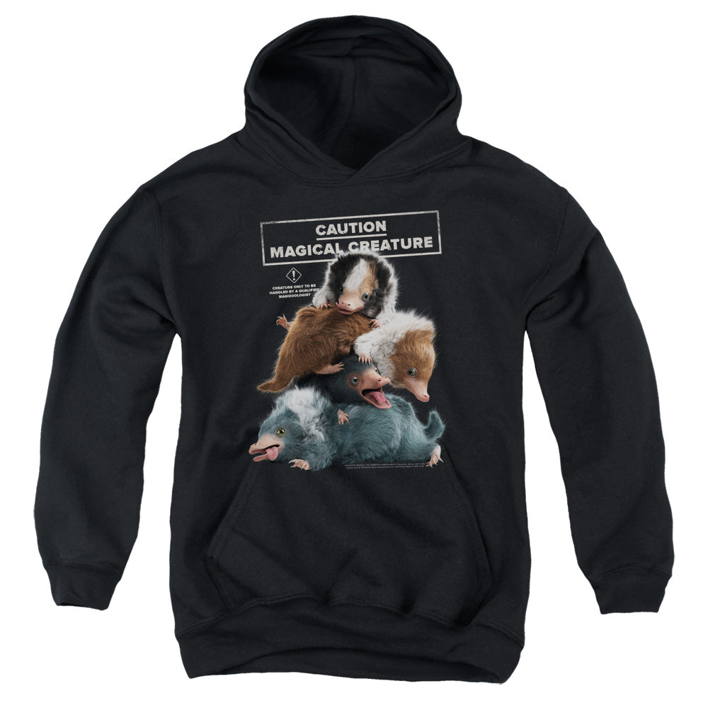 AN OFFCIALLY LICENSED FANTASTIC BEASTS 2 CUDDLE PUDDLE YOUTH HOODIE BLACK