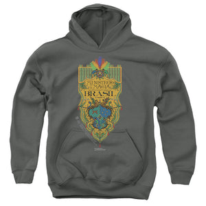 AN OFFCIALLY LICENSED FANTASTIC BEASTS THE SECRETS OF DUMBLEDORE BRAZIL MINISTRY FLAG YOUTH HOODIE CHARCOAL