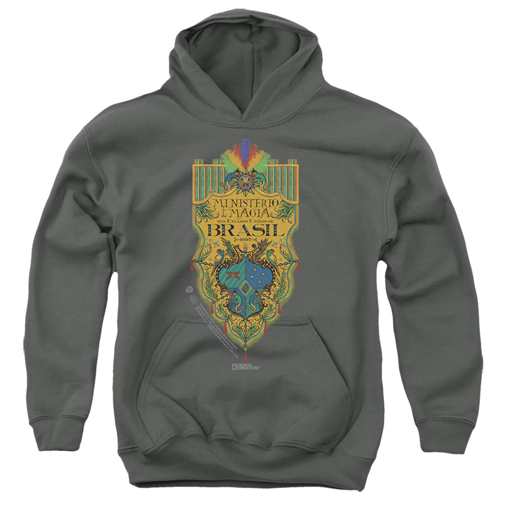 AN OFFCIALLY LICENSED FANTASTIC BEASTS THE SECRETS OF DUMBLEDORE BRAZIL MINISTRY FLAG YOUTH HOODIE CHARCOAL