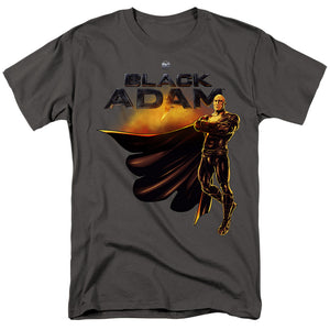 AN OFFCIALLY LICENSED BLACK ADAM BLACK ADAM LOGO WITH CHARACTER MEN'S REGULAR FIT T-SHIRT CHARCOAL
