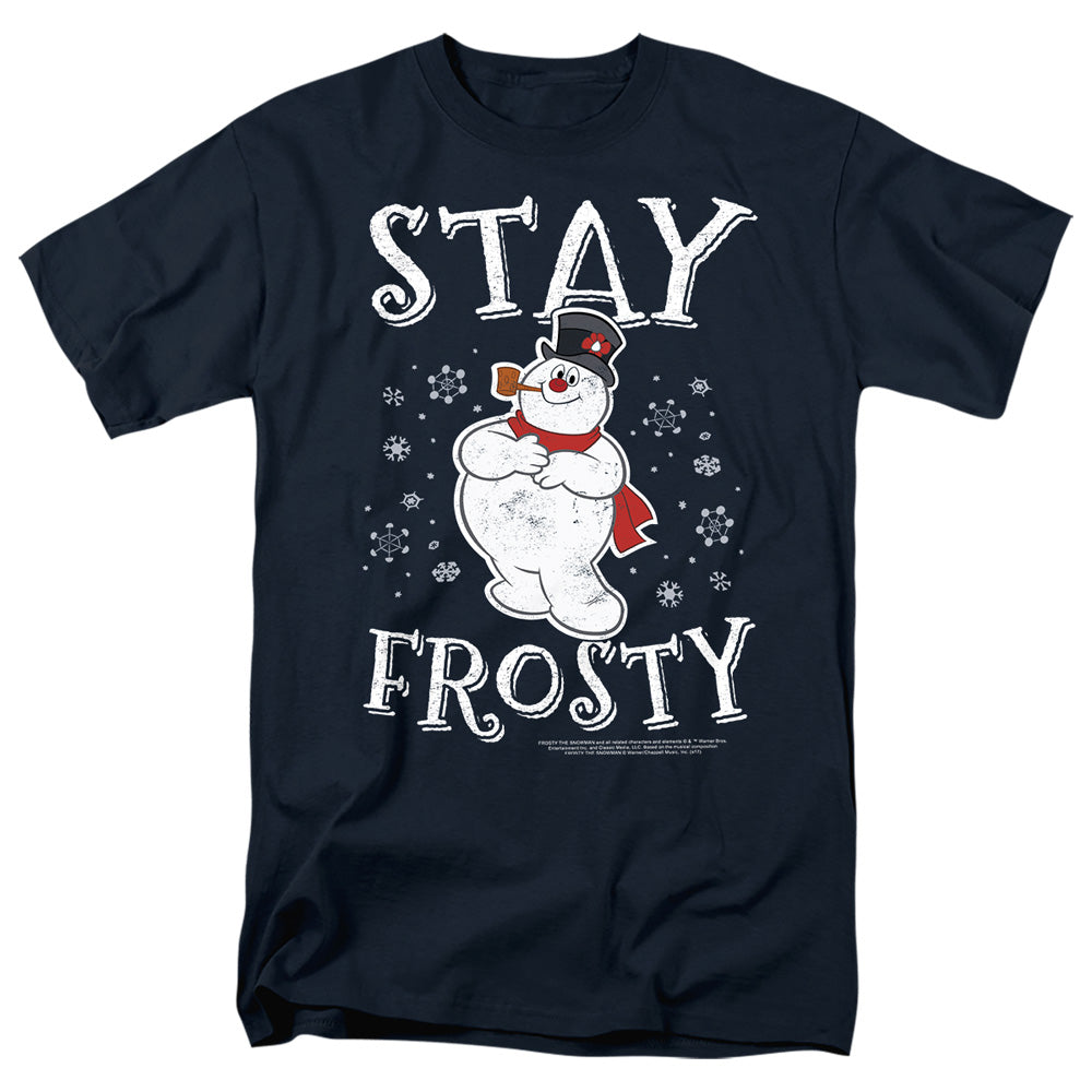 AN OFFCIALLY LICENSED FROSTY THE SNOWMAN STAY FROSTY MEN'S REGULAR FIT T-SHIRT SLATE