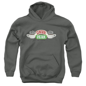AN OFFCIALLY LICENSED FRIENDS CENTRAL PERK LOGO YOUTH HOODIE CHARCOAL