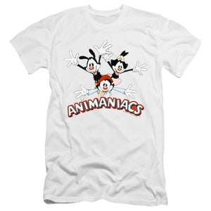 AN OFFCIALLY LICENSED ANIMANIACS ANIMANIACS TRIO MEN'S PREMIUM SLIM FIT T-SHIRT WHITE
