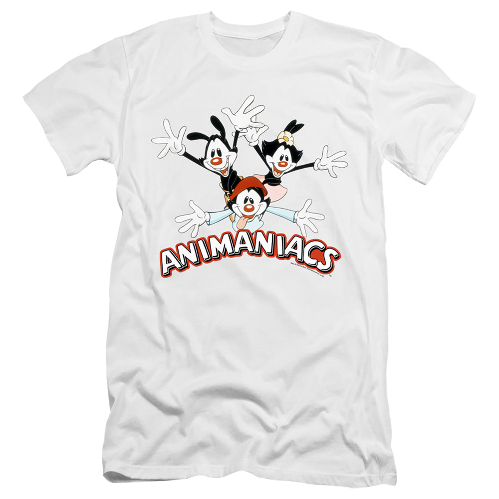 AN OFFCIALLY LICENSED ANIMANIACS ANIMANIACS TRIO MEN'S PREMIUM SLIM FIT T-SHIRT WHITE
