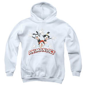 AN OFFCIALLY LICENSED ANIMANIACS ANIMANIACS TRIO YOUTH HOODIE WHITE