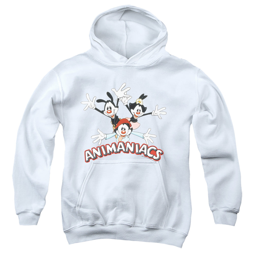 AN OFFCIALLY LICENSED ANIMANIACS ANIMANIACS TRIO YOUTH HOODIE WHITE