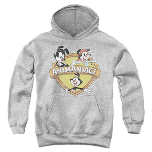 AN OFFCIALLY LICENSED ANIMANIACS SHIELDED ANIMANIACS YOUTH HOODIE ATHLETIC HEATHER