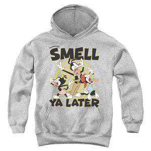 AN OFFCIALLY LICENSED ANIMANIACS SMELL YA LATER YOUTH HOODIE ATHLETIC HEATHER