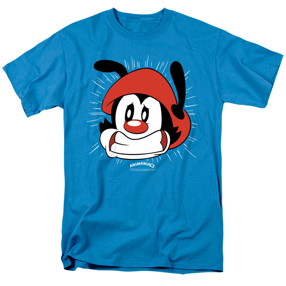 AN OFFCIALLY LICENSED ANIMANIACS GOTTA GO MEN'S REGULAR FIT T-SHIRT TURQUOISE