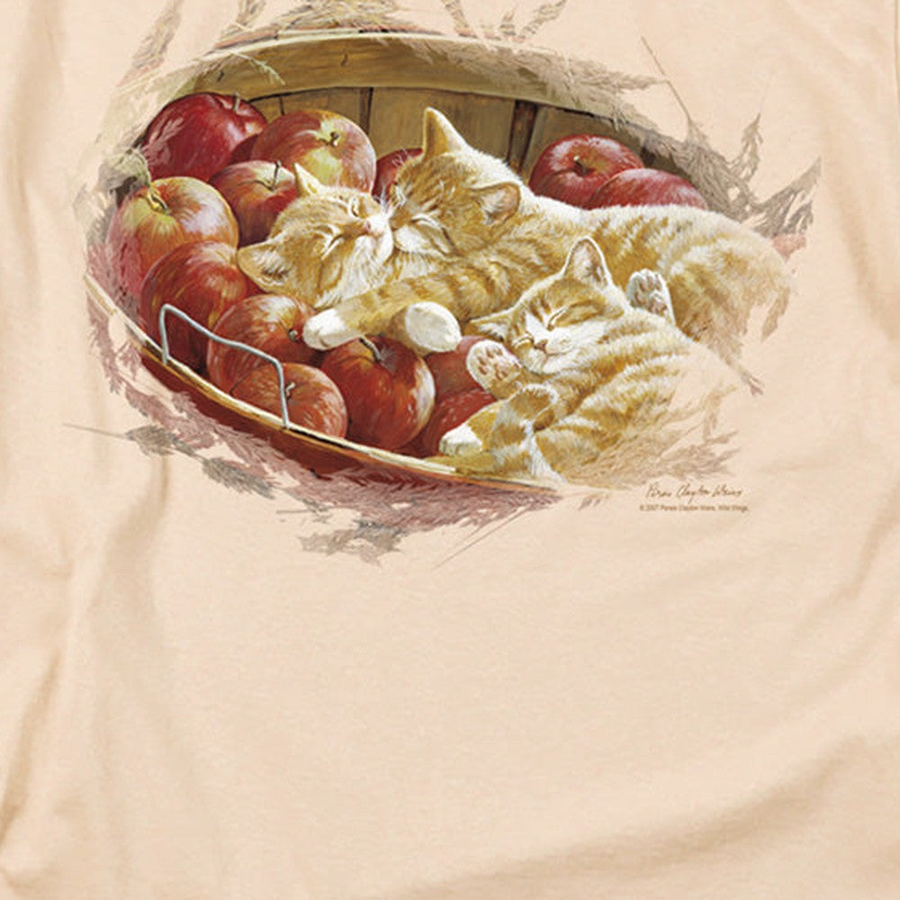 Design detail